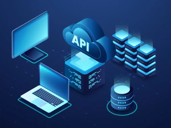 api testing
