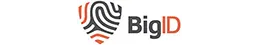 bigid logo