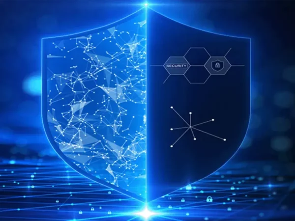 future vision of the virtual guardian shield