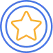 icon star shield