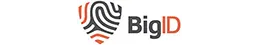 big id logo